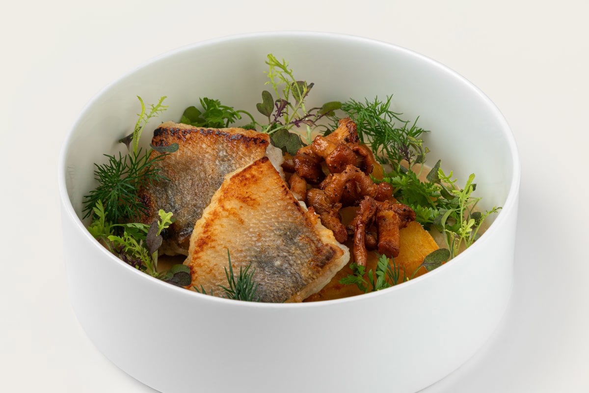 Судак с картофелем “Анна” и лисичками Судак с картофелем “Анна” и лисичками