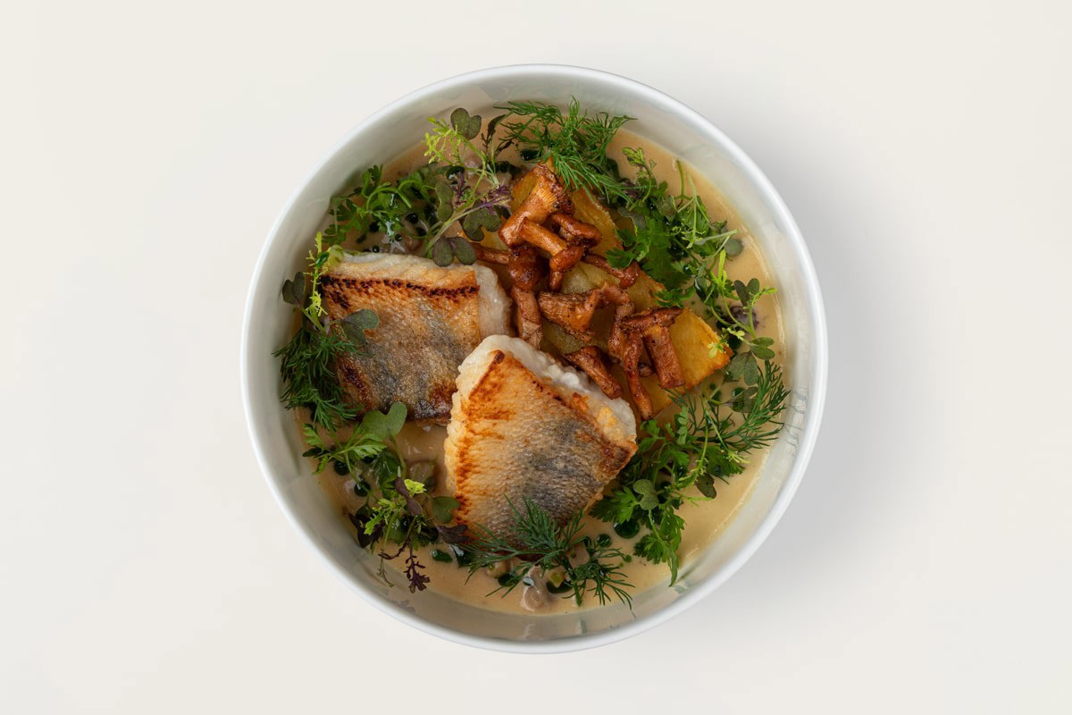 Судак с картофелем “Анна” и лисичками Судак с картофелем “Анна” и лисичками