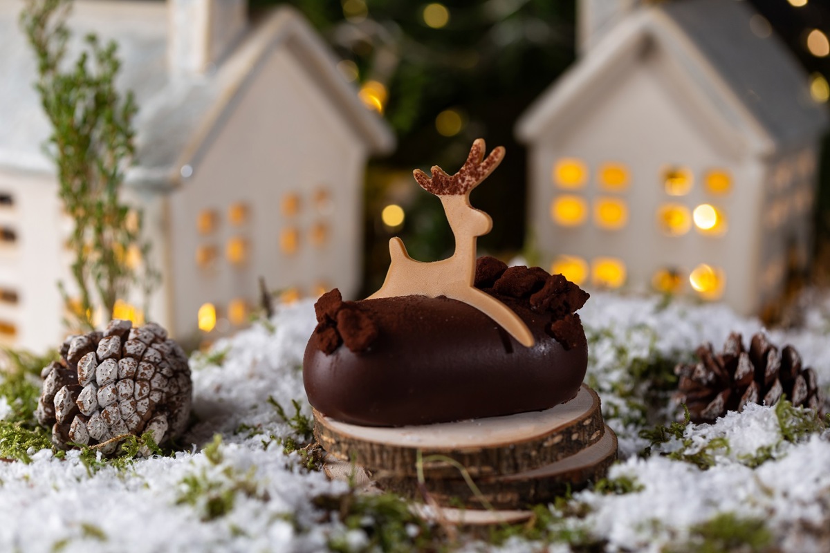 Шоколадная комета 